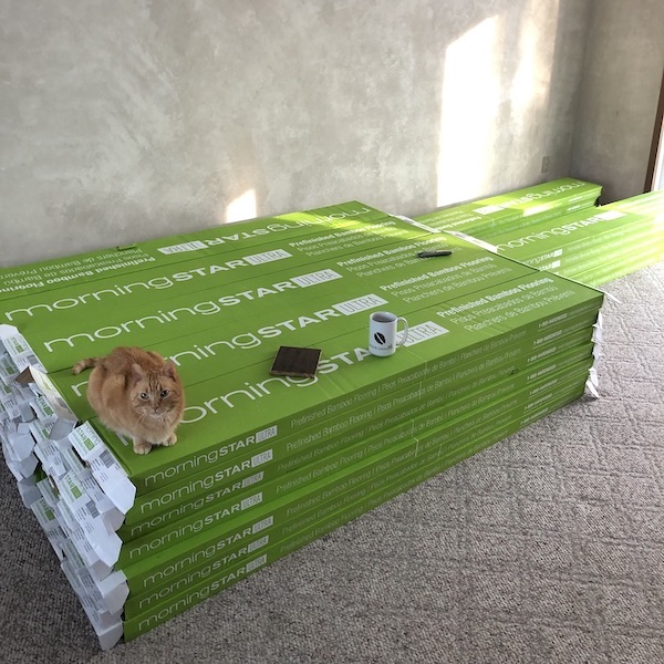 Kyo on the Flooring Boxes