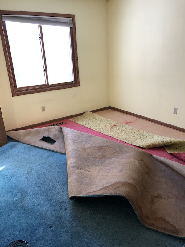 Ripping up Master Bedroom Carpet