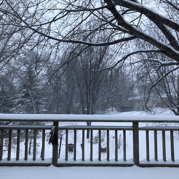 Snowy Backyard