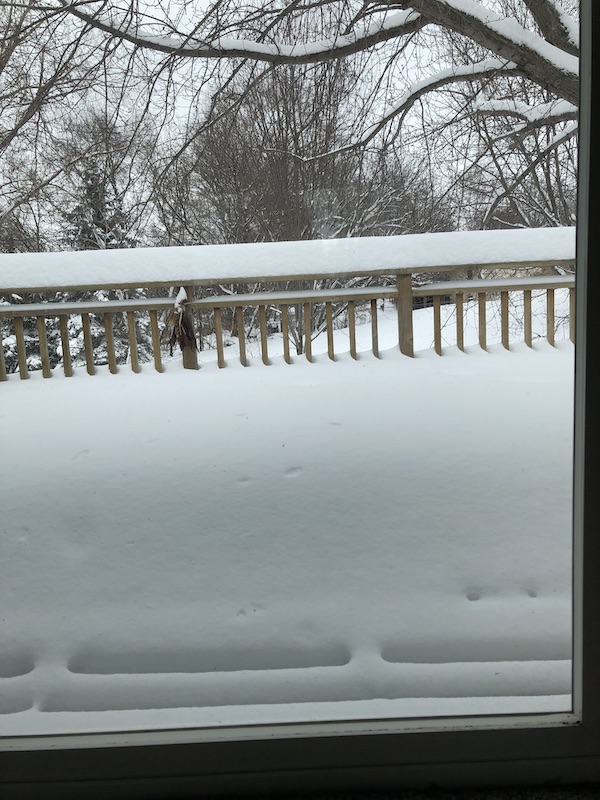 Snow on back deck