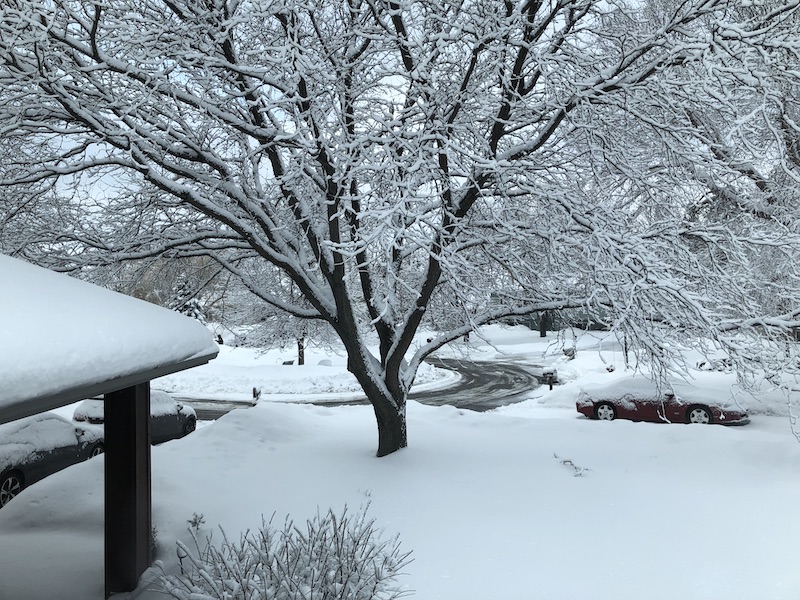 View out front of our winter wonderland.