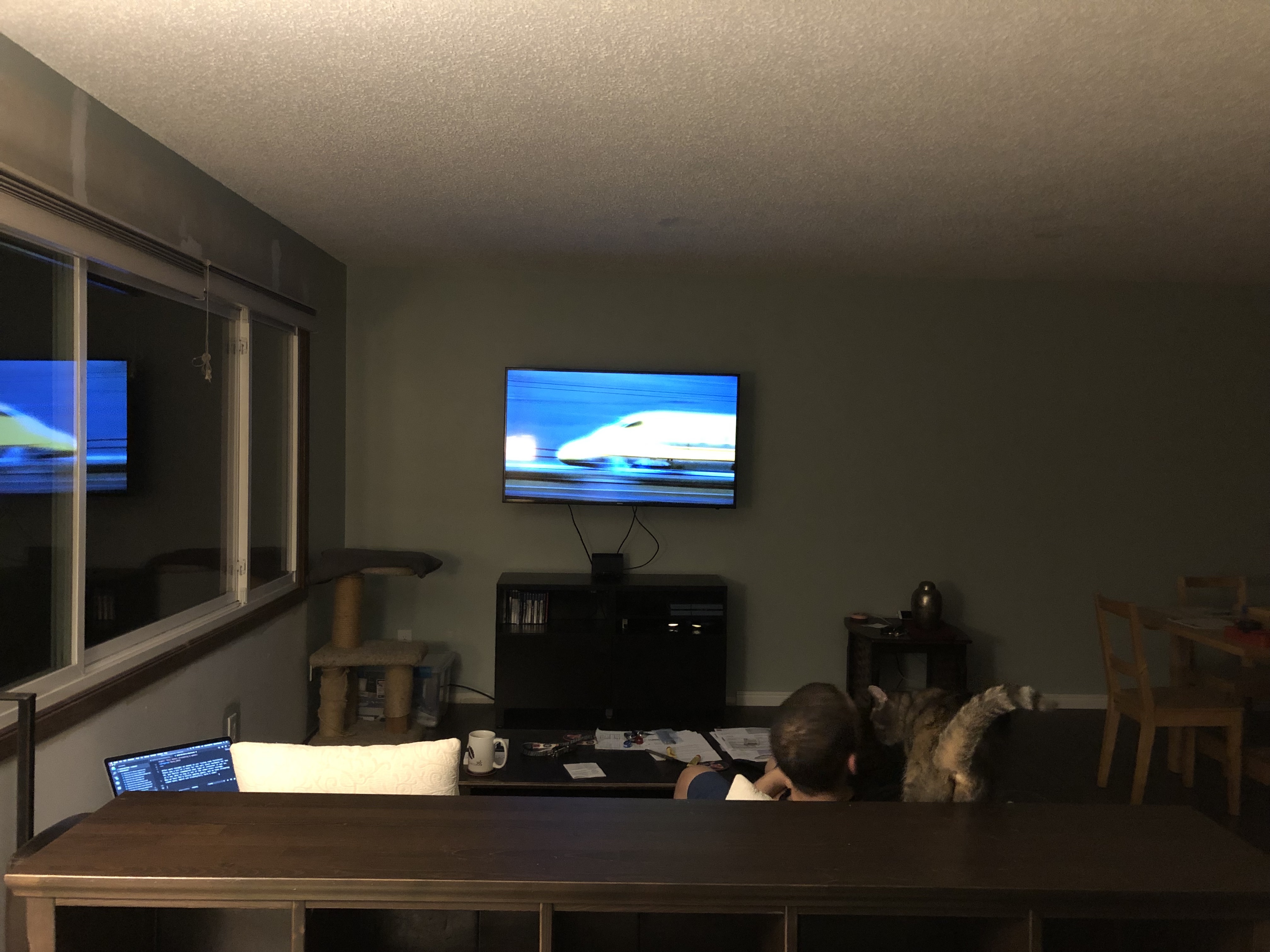 Watching the Shinkansen on the TV.