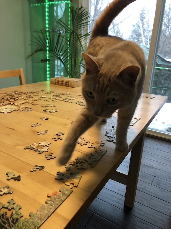 Fred attempting to steal the border pieces