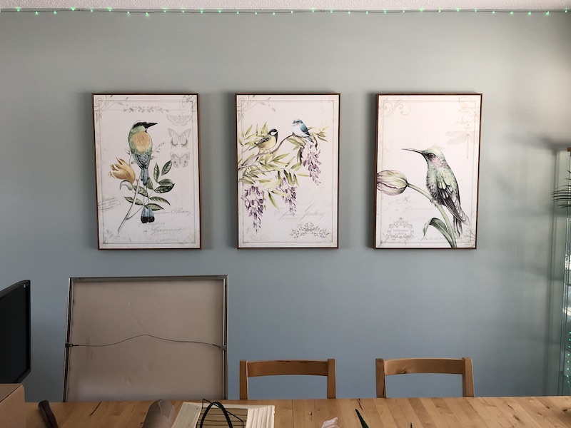 3 panel, framed birds & flowers.