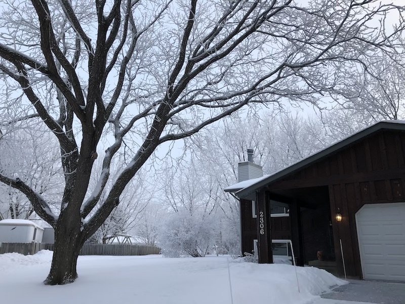 Frosty frontyard