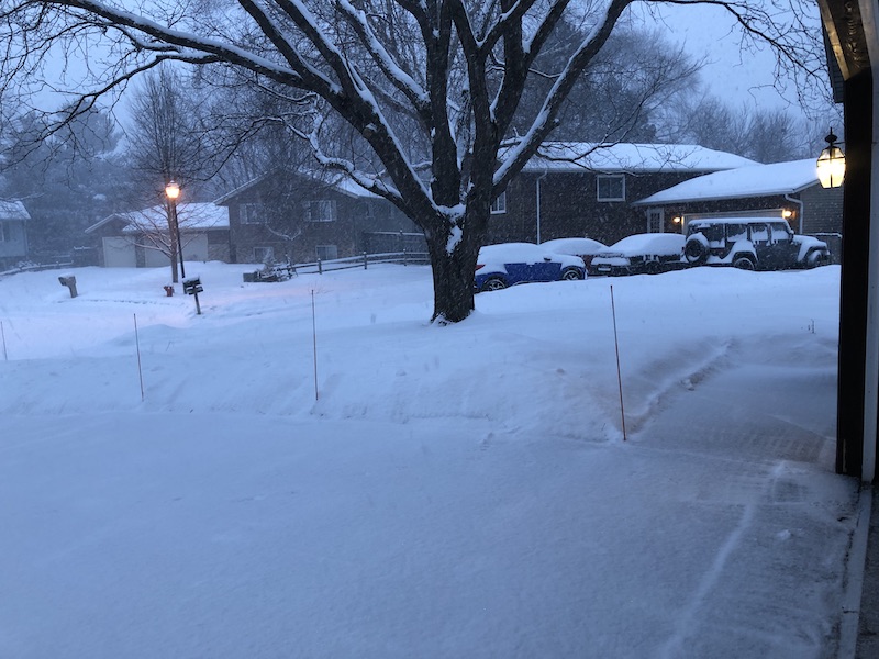 Driveway and walk after shoveling.