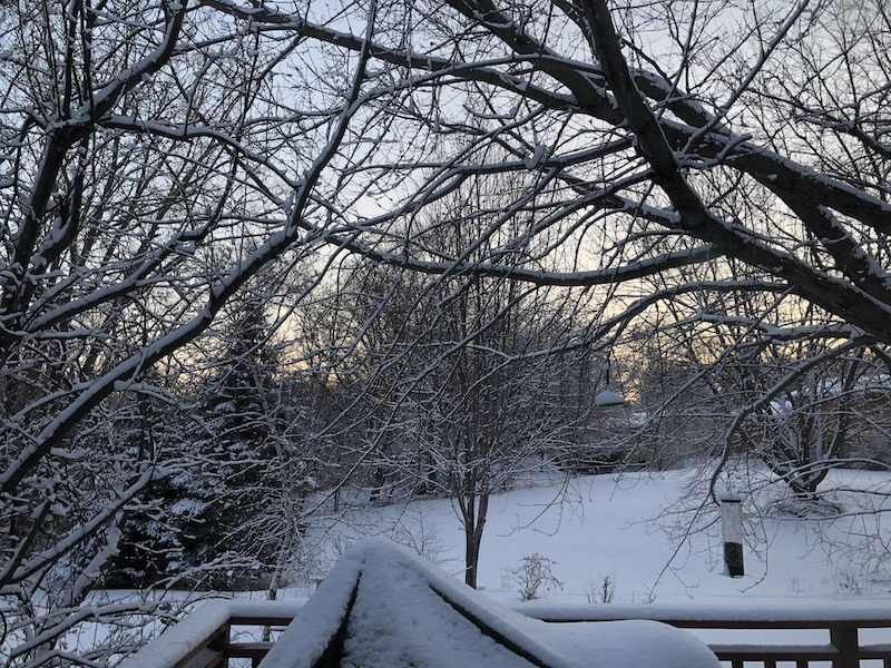 Snowy view out the back window.