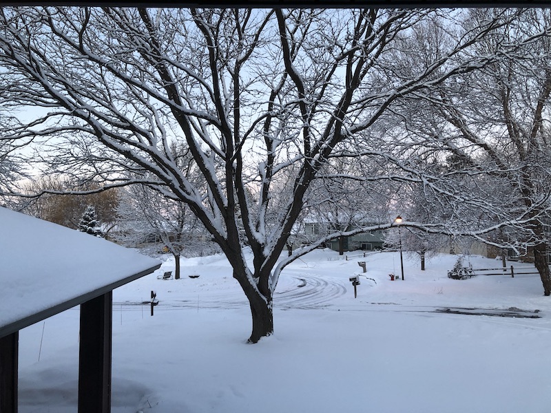 Snowy view out the front window.