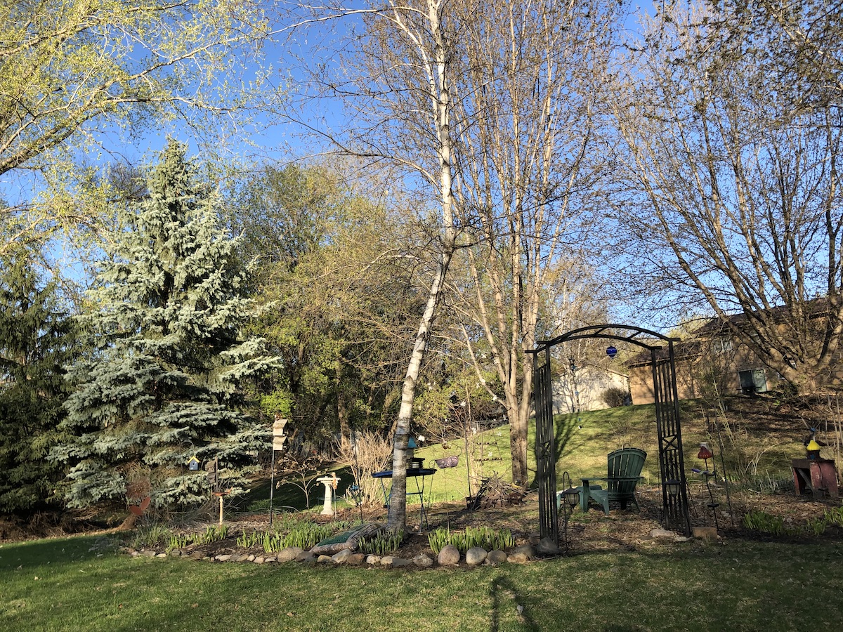 Backyard garden and fire pit area