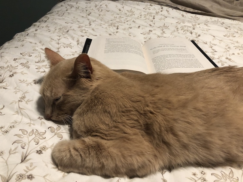 Fred helping me read