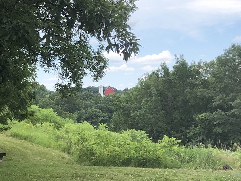 Green surrounding the farm on the hill.