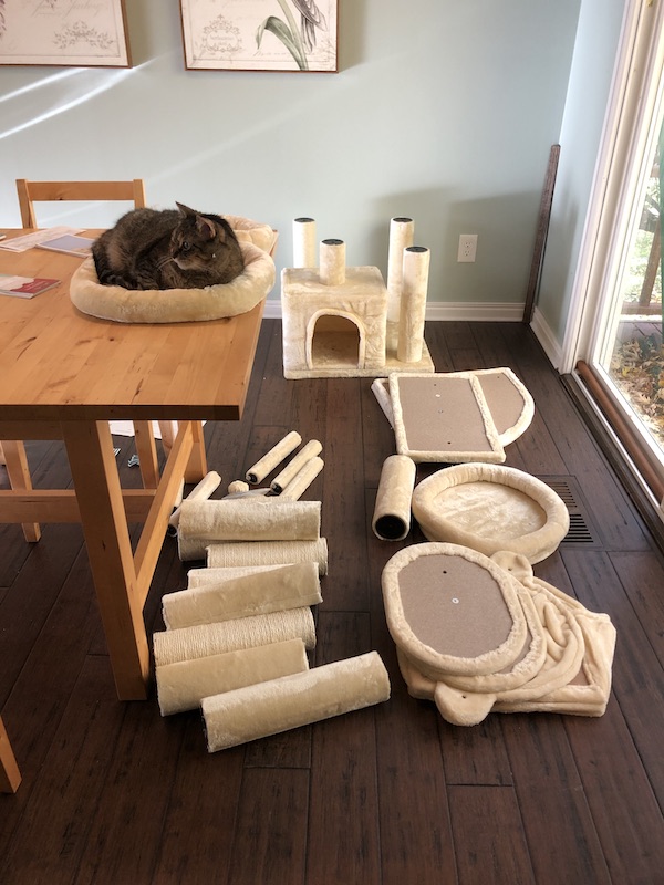 the new cat tree before assembly