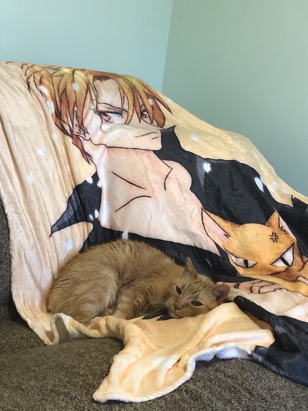 Kyo cat on his Fruits Basket Kyo throw