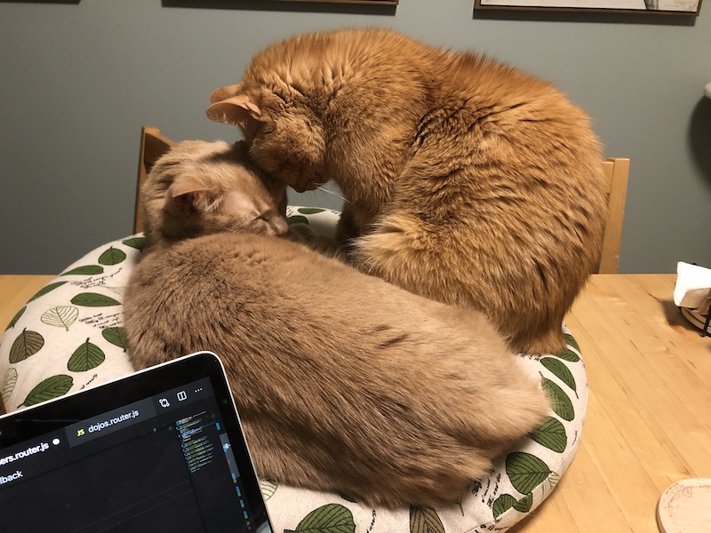 Fred and Kyo snuggling to share the pillow.